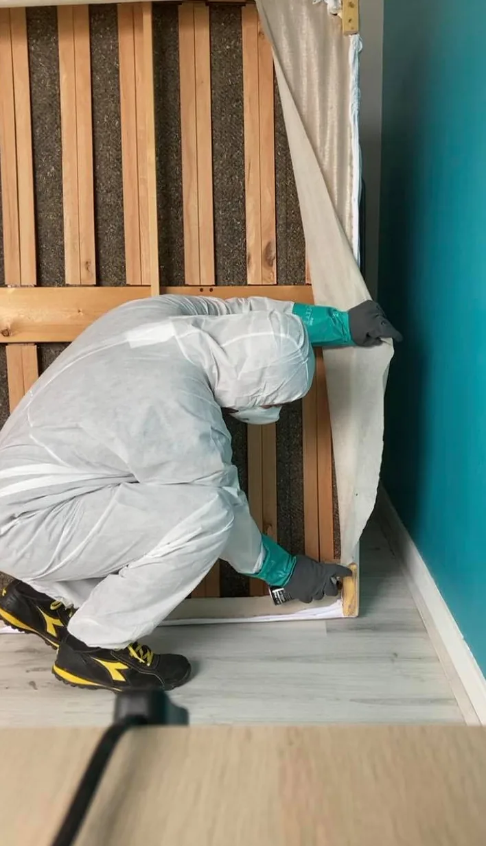 Désinsectisation cafards punaises de lit — SOS nuisibles 64